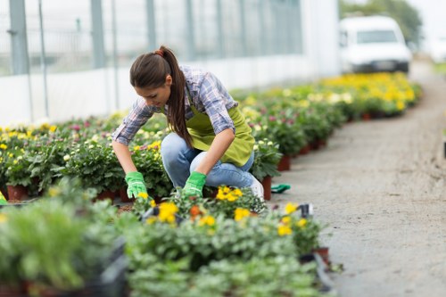 Essential cookie explanation for Gardeners Northolt website