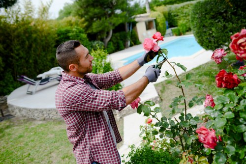 Gardeners Northolt applying safe work practices in a tidy outdoor space