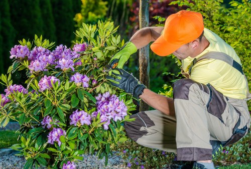 PPE and safety equipment used by Northolt gardeners