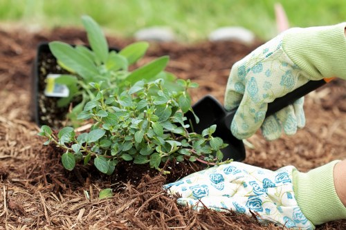 Northolt gardening specialists caring for shrubs, lawns, and borders