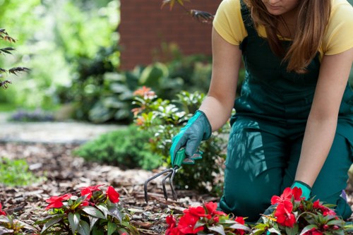 Professional gardeners in Northolt shaping hedges and lawns