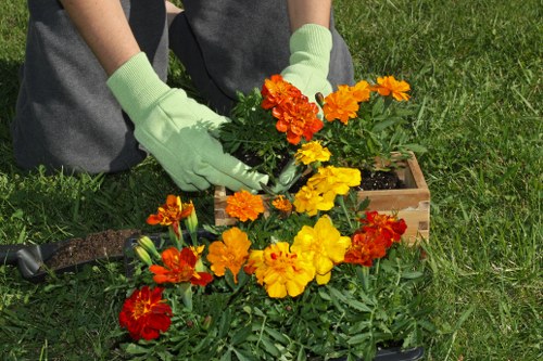 Professional lawn care solutions for Northolt homes
