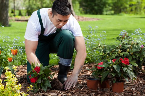Northolt outdoor space with fresh pruning and clean pathways