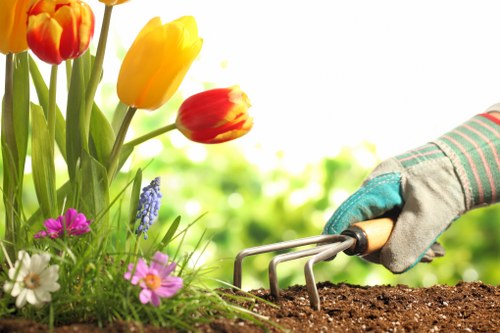 Annual review and compliance monitoring for Gardeners Northolt
