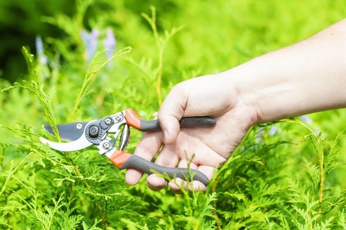 Durable fencing materials suitable for Northolt properties