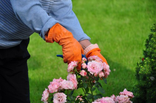 Local gardeners in Northolt improving a property’s outdoor presentation