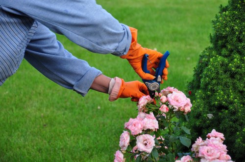 Sustainable landscape gardening features in a Northolt garden