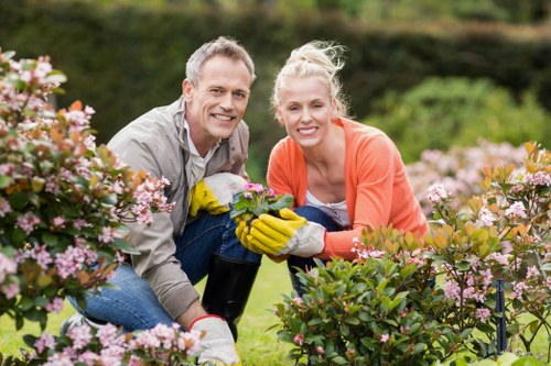 Healthy Northolt lawn and seasonal planting during regular garden upkeep