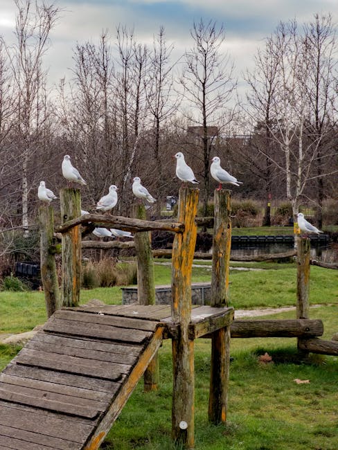 A wooden children’s play area in a garden setting, featuring a small slide and a platform with a simple railing. The play equipment is made of weathered timber, with a natural, rustic appearance, situ