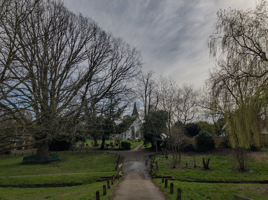 A peaceful garden scene featuring a paved pathway leading up a gentle slope towards a white, Gothic-style church with a tall steeple. The garden is bordered by a variety of mature, leafless trees and 