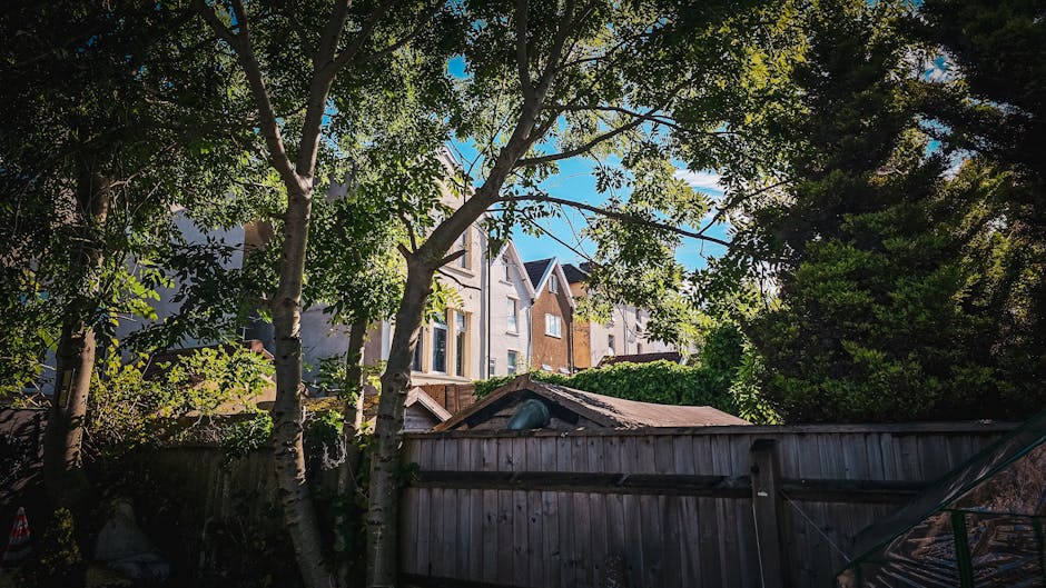 A garden scene in a small yard near Northolt station showing a wooden fence at the foreground, with lush green foliage and mature trees with textured bark and broad leaves that cast dappled sunlight a
