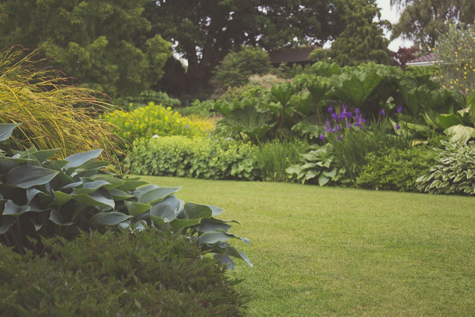 A garden scene in a small yard near Northolt station showing a wooden fence at the foreground, with lush green foliage and mature trees with textured bark and broad leaves that cast dappled sunlight a