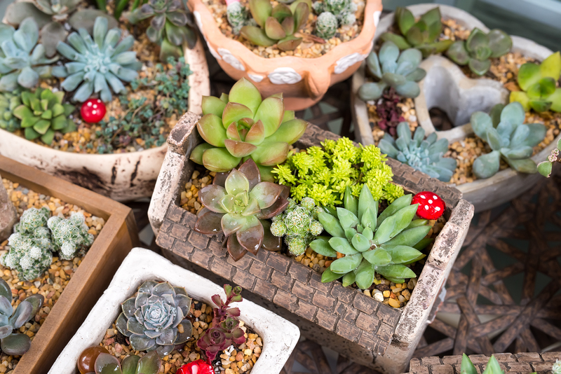 garden design Garden